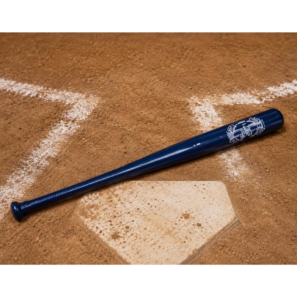 2009 Yankee Stadium Inaugural Mini Souvenir Baseball Bat NYork Yankees 18 Inch